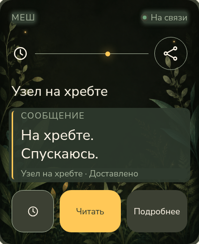 Экран связи с сообщением от спутника.